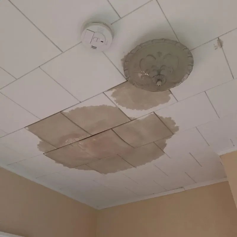 Ceiling Water Damage Repair in Hampden, MA